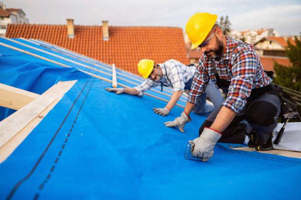 Roof Gutter Cleaning in Glendale, CA